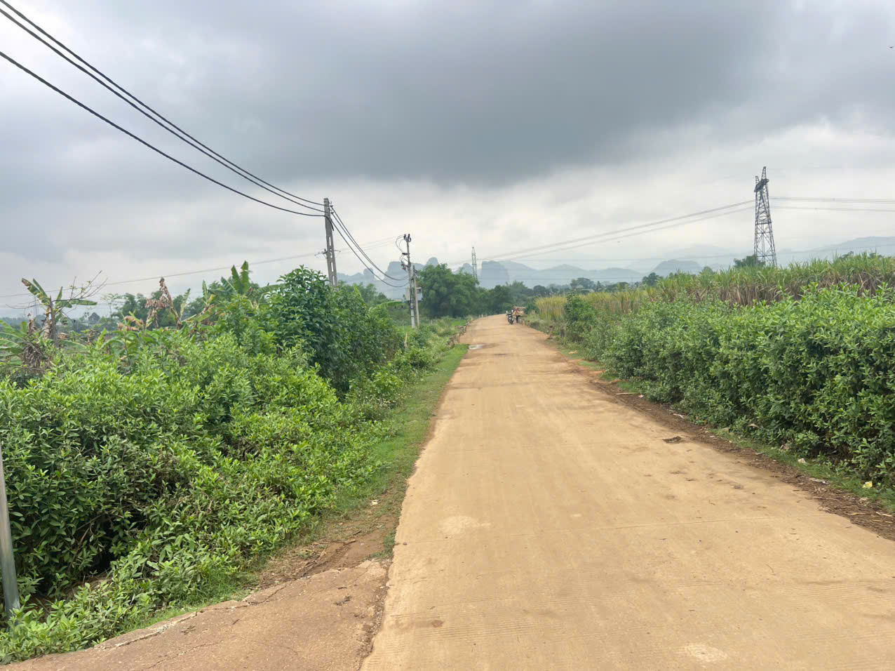 Cần bán 1000M2 full thổ cư bám đường bê tông to_tiện ích đầy đủ Cao Phong_Hoà Bình_1,x tỷ - Ảnh 3